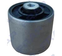 FSB3997 FRAP Supporto, Braccio oscillante per AUDI,VW