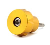 FSFYUK Bullone per sedile posteriore CNC, montaggio a vite per parafango per R Nine T Racer Pure Scrambler 2014 2015 2016 2017 2018 2019 2020, dorato