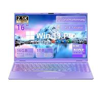 Fsjun PC portatile da 16", 12th-gen Alder Lake N95, 2,5 K QFH (2560 x 1600), schermo IPS, 16 GB RAM 1 TB SSD, Win11 Pro/Office19, Color Backlit KB, Fingerprint, Type-C, HDMI, WiFi (Lila, 16G+1TB)
