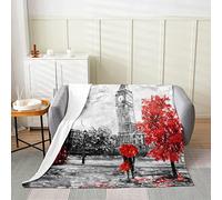 FSZXC Coperta Plaid Matrimoniale 180x200 Londra, 3D Stampata Coperte di Flanella, Fluffy E Termica E Morbida Blanket, Coperta Divano for Adulto E Bambino