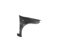 FT3403013 parafango ant destro con foro lucciola per Fiat Punto 04/03-04/11