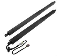 FT4Z14B35-1A10 FT4Z5840-6A10B Supporto Portellone Posteriore Per Ford Per Edge 15-18, Elettrico palla(Left-Right)