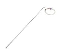 FTARP08 PT100 - Cavo FEP da 2 m, in acciaio inox 316L, sensore di temperatura, 1 pezzo (A 6 mm di diametro)