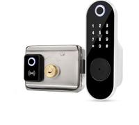 FTes RFKits Serratura per Porta con Impronta Digitale, Serratura per Tastiera Senza Chiave con Ingresso Chiave, Password Anti-scavo, Serratura Antifurto Intelligente