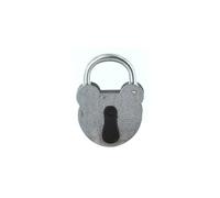 FTH - Lucchetto FTH 2493 a chiave, corpo in acciaio zincato da 55 mm, manico in acciaio zincato Ø 6,5 mm, ingresso chiave protetta da una copertura, 2 chiavi a gola