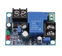 FTVOGUE Modulo Controller di Carica, Caricabatteria Automatico con Carico 30A per Sistemi Batteria 12V 24V 36V 48V (36V dedicato)