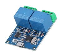 FTVOGUE Modulo relè USB Interruttore di Controllo Intelligente a 2 Vie con LED, Microcontrollore Integrato per Commutazione Stabile 5V 10A/250VAC, Ideale per l'automazione Domestica e le