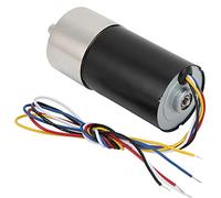 FTVOGUE Motore Brushless CC 12 V, Materiale in Rame, Riduttore a Micro velocità con 100 Giri/min/min per Macchine CNC e Macchinari Ad Alta Precisione (200 giri/)