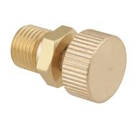 FTVOGUE Vite della Valvola di Spurgo dell'aria in Ottone, Alta Temperatura 572F, Pressione 65Mpa per Accessori per Pompe Elettriche Ad Alta Pressione