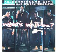 Fu-Schnickens - What's Up Doc? (Can We Rock?)