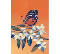 Fuad delle farfalle - Ugolini Lina Maria