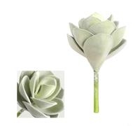 FUANA Pianta grassa artificiale floccata realistica, 16 cm, robusto pachyphytum finto per decorazione moderna bohémien per casa e ufficio, per zero irrigazione o luce solare necessaria (verde)