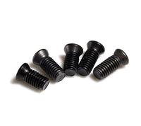 FUBESK 20X M2 M2.5 per M3 per M3.5 M4 M5 Viti Torx Per Sostituire Lame In Carburo CNC Tornio Strumenti per Macchina Fastene