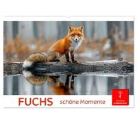 Fuchs - schöne Momente (Wandkalender 2026 DIN A2 quer), CALVENDO Monatskalender: Die Welt der Füchse in der freien Natur.