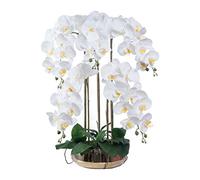 Fucile orchidee bianche di falaenopsis bianca, 5 rami Orchidei a farfalla bianca disposizione dei fiori con vaso di ceramica bianca, per casa/ufficio/salotto per la tavola della casa decorazione
