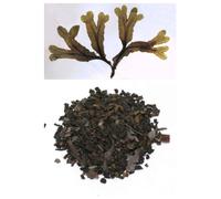 Fucus Alga Tallo Taglio Tisana Dimagrante Metabolismo Lento Snellente Sovrappeso
