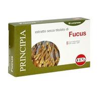 FUCUS ESTRATTO SECCO 60CPR