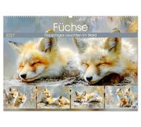 Füchse. Flauschiges Leuchten im Wald (Wandkalender 2027 DIN A2 quer), CALVENDO Monatskalender: Ein malerischer Streifzug durch die Welt der bezaubernden Waldbewohner