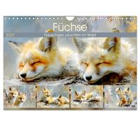 Füchse. Flauschiges Leuchten im Wald (Wandkalender 2027 DIN A4 quer), CALVENDO M