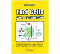 Fuel cells. Pile a combustibile. Struttura, funzionamento, impiego nelle auto, problemi e prospettive di sviluppo