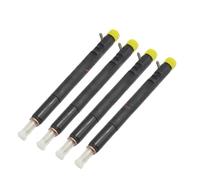 Fuel Iniettore 4PCS 6640170121 EJBR04501D Iniettori Common Rail A6640170121 Per Ssangyong Per Kyron 4501d