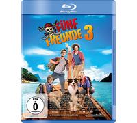 Fünf Freunde 3