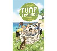 Fünf Freunde machen eine Entdeckung: 21