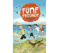 Fünf Freunde meistern jede Gefahr: 22