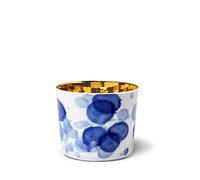 Fürstenberg - Gocce - Tazza da champagne - o porcellana / oro - Bianco / Blu / Oro - (HxD) 7,4 x 8,5 cm / Volume: 0,3 l