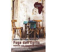 Fuga dall'Egitto. Inchiesta sulla diaspora del dopo-golpe