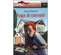 Fuga di cervelli