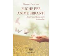 FUGHE PER ANIME ERRANTI: Brevi racconti per cuori in cammino