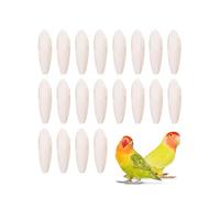 FUGLUS 20 Pz osso di calamaro pappagallo masticare uccello giocattolo,con osso di calamaro per pappagalli, uccelli, rettili, tartarughe,4-5cm