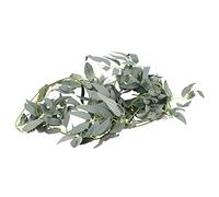 Fuhjythy 1.8M Artificiale Falso Eucalipto Lascia Piante Matrimonio DIY Decor Fiori Pianta Foglia Simulazione Rattan Home Decor Simulazione Rattan Grigiastro