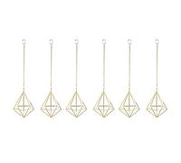 Fuhjythy 6 Pezzi nel Stile Nordico Sospeso Tillandsia Air Plant Rack Wall Hanging Geometrico Metallo Tillandsia Air Plants Rack Holder