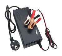 Fuhjythy Caricabatterie Lifepo4 da 14,6 V 10 A, Caricabatteria per Batteria al Litio Fosfato da 12,8 V 4S, Spina UE