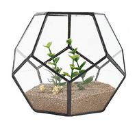 Fuhjythy Vetro nero pentagono terrario geometrico contenitore finestra davanzale decorazione vaso di fiori balcone fioriera DIY scatola di visualizzazione (pianta)