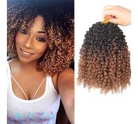 FUIBEJAE Passion Twist Crochet Braids Capelli per Butterfly Faux Locs 7 Pacchi Corti Foam Roll per Crochet Extension di Capelli per Donne, 24 Fili/Pacco,1b/30,14inch