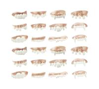 FUIPVGI 24 Denti scherzosi, Denti da Demone di Halloween, Divertenti Denti di Billy Bob, Denti Falsi, Denti da Vampiro per Halloween, Feste in Costume, bomboniere, Oggetti di Scena (24 Pezzi)
