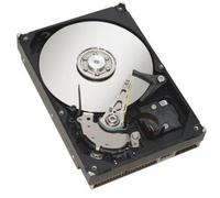 Fujitsu 2TB SAS 7.2K 3.5 disco rigido interno 7200 Giri/min 128 MB 3.5 (S26361-F5571-L200)