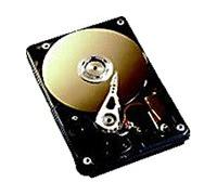 Fujitsu Hard disk da 320 GB Hot Swap (6,4 cm (2,5"), SATA-300, 5400 rpm)