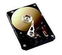 Fujitsu HD SAS 3GB/s 73GB 10 K Hot Plug 3.5" - hard disk (100GB (SAS), 73 GB, 8,89 cm (3.5"))