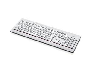 Fujitsu KB521 tastiera USB QWERTY Inglese Grigio