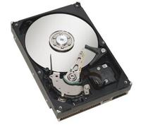 Fujitsu S26361-F3951-L100 Disco rigido da 3,5 1Tb Serie ATA III - Nouvo