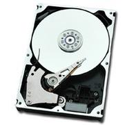 Fujitsu S26361-F4482-L145 HardDisk