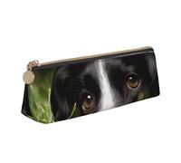 FUkker Astuccio per matite, astuccio per penne triangolari Astuccio portatile in pelle per ufficio scolastico,Border Collie Animali Erba Border Collie nero