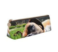 FUkker Astuccio per matite, astuccio per penne triangolari Astuccio portatile in pelle per ufficio scolastico,Cani Boxer Erba verde Animali domestici Cani da prato