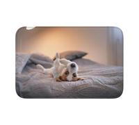 FUkker Simpatico cagnolino Jack Russell Terrier, Zerbino, zerbino antiscivolo per interni, zerbino per esterni, tappeto per patio, zerbino con orlo 40x60 cm per cucina