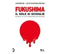 Fukushima. Il sole si scioglie