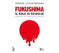 Fukushima. Il sole si scioglie